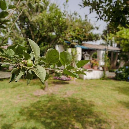 Le Querce Βίλα Προτσίντα Εξωτερικό φωτογραφία