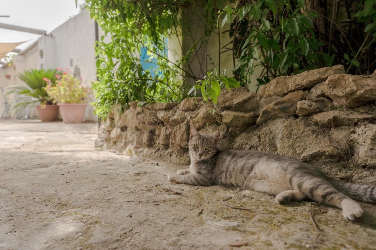 Le Querce Βίλα Προτσίντα Εξωτερικό φωτογραφία