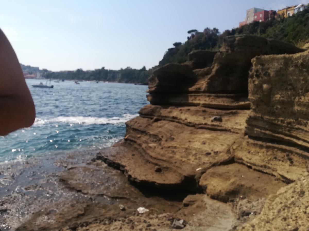 Le Querce Βίλα Προτσίντα Εξωτερικό φωτογραφία