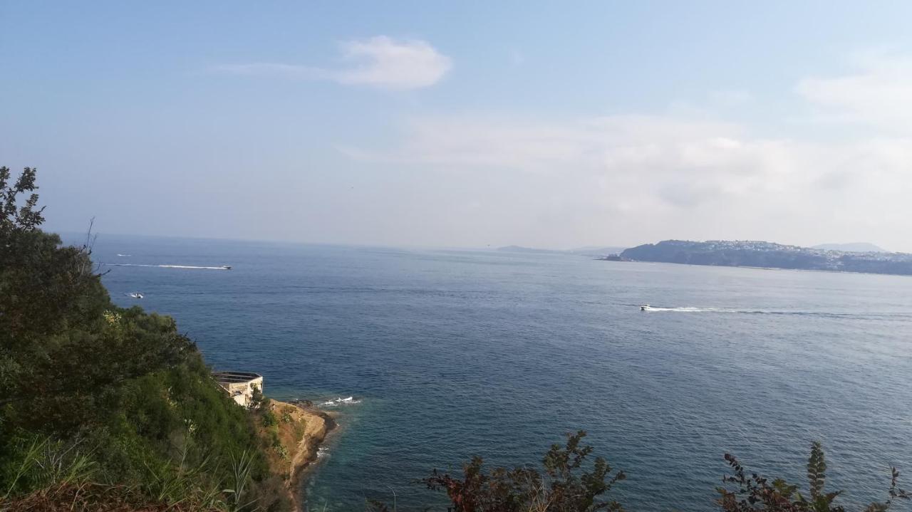 Le Querce Βίλα Προτσίντα Εξωτερικό φωτογραφία