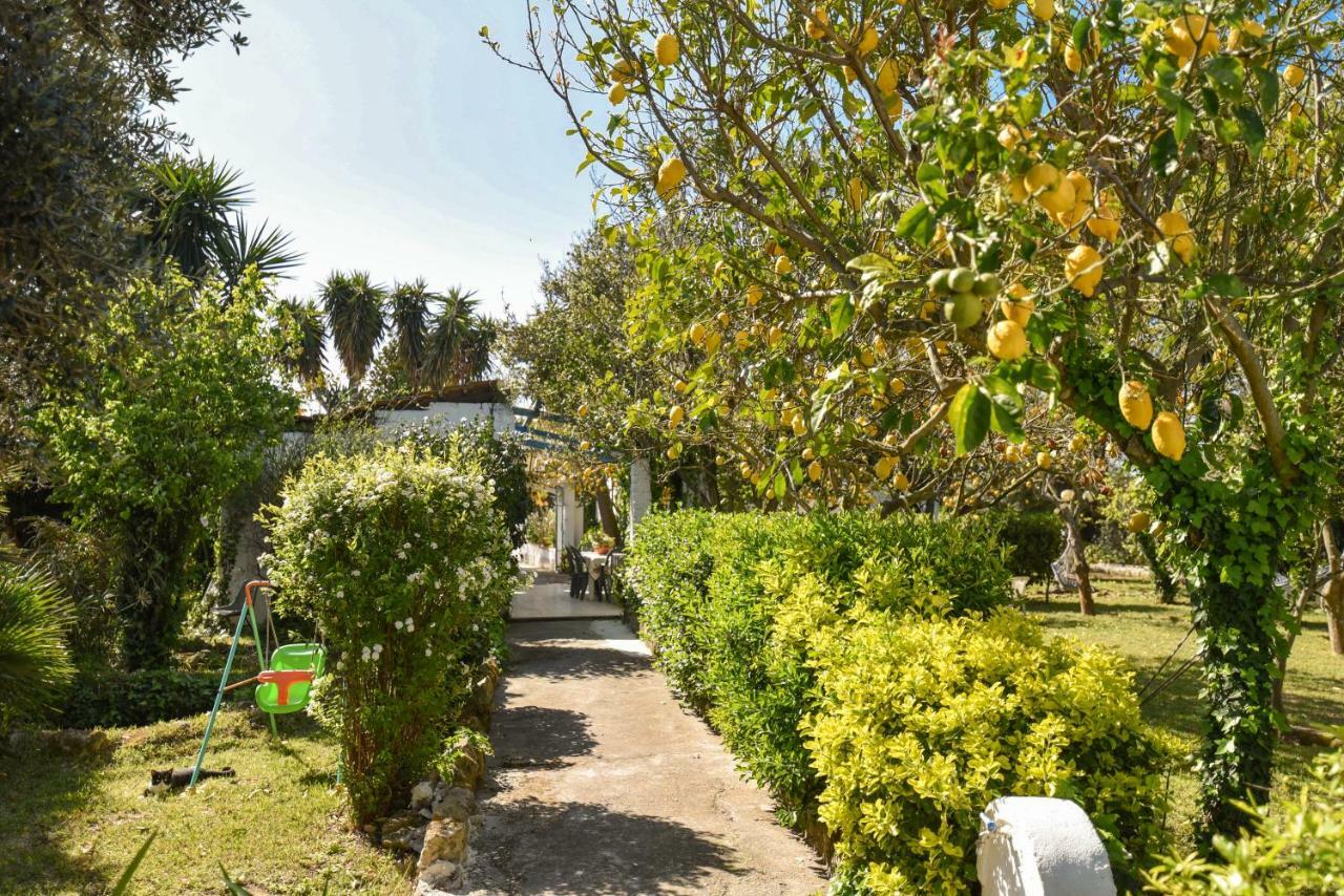 Le Querce Βίλα Προτσίντα Εξωτερικό φωτογραφία