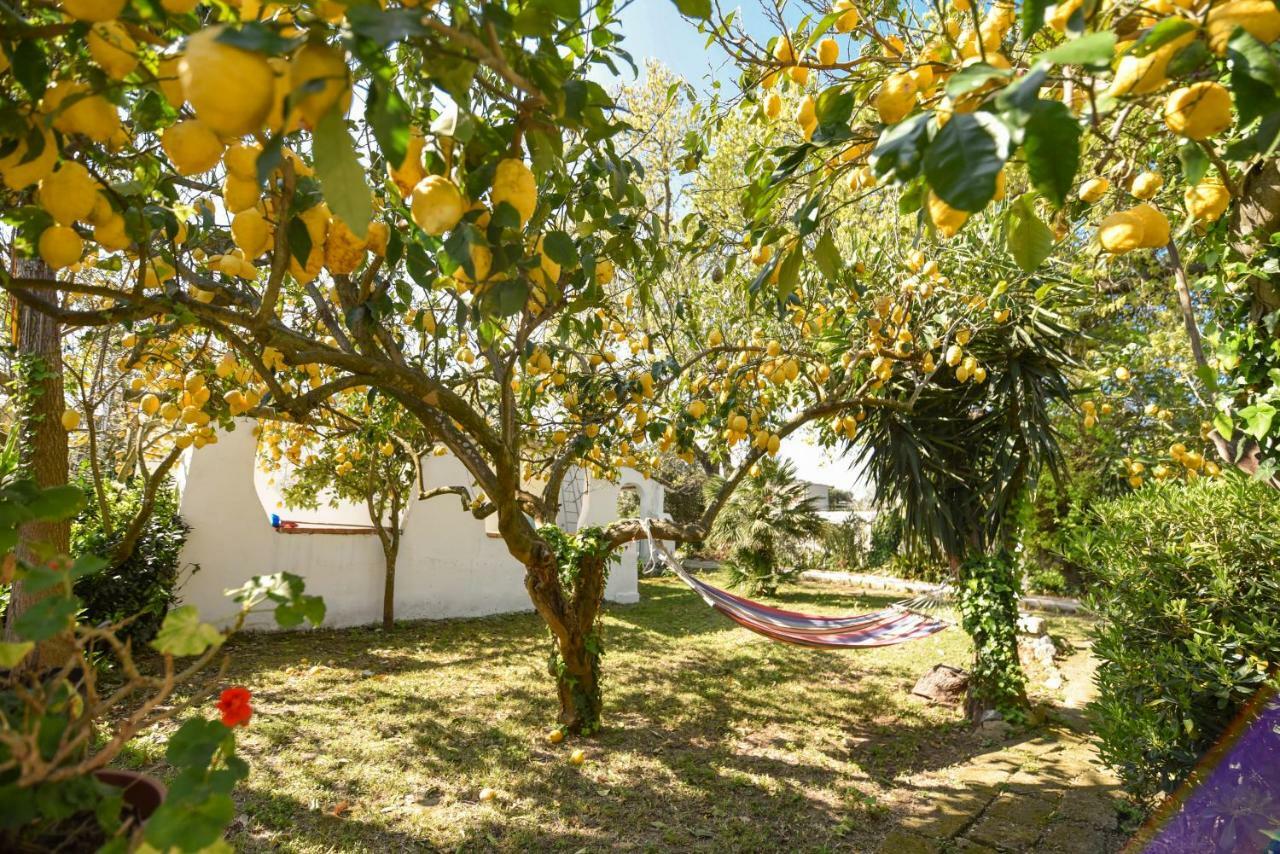 Le Querce Βίλα Προτσίντα Εξωτερικό φωτογραφία
