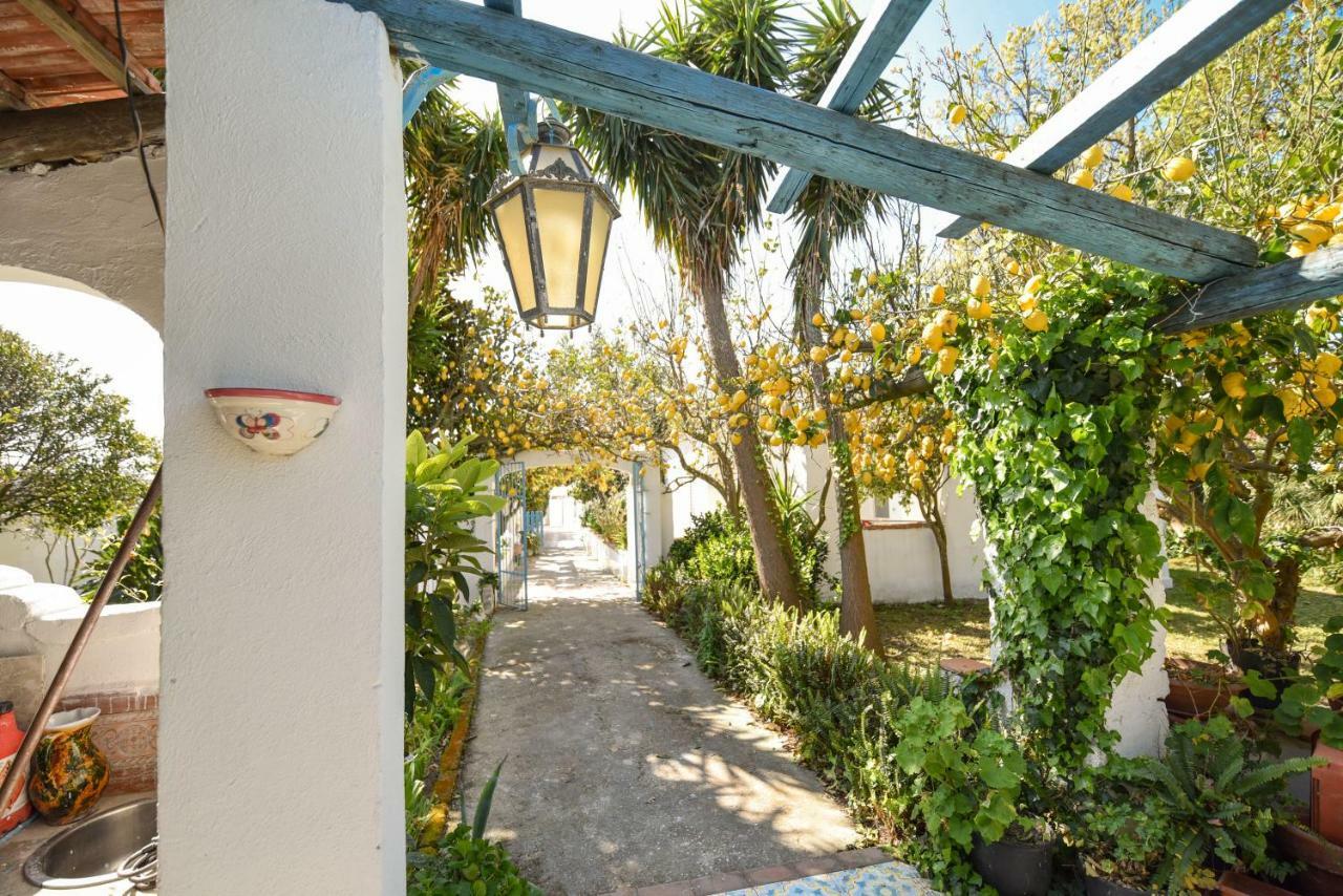 Le Querce Βίλα Προτσίντα Εξωτερικό φωτογραφία